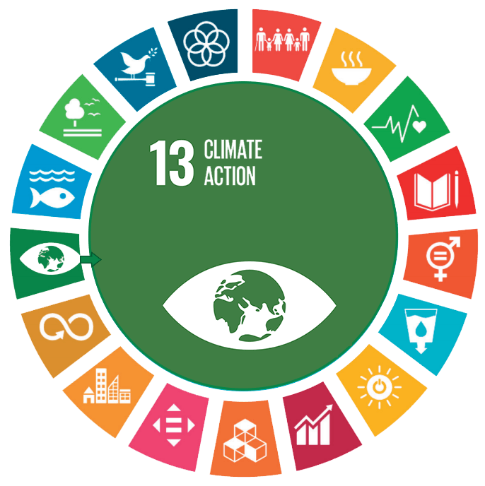 SDG13